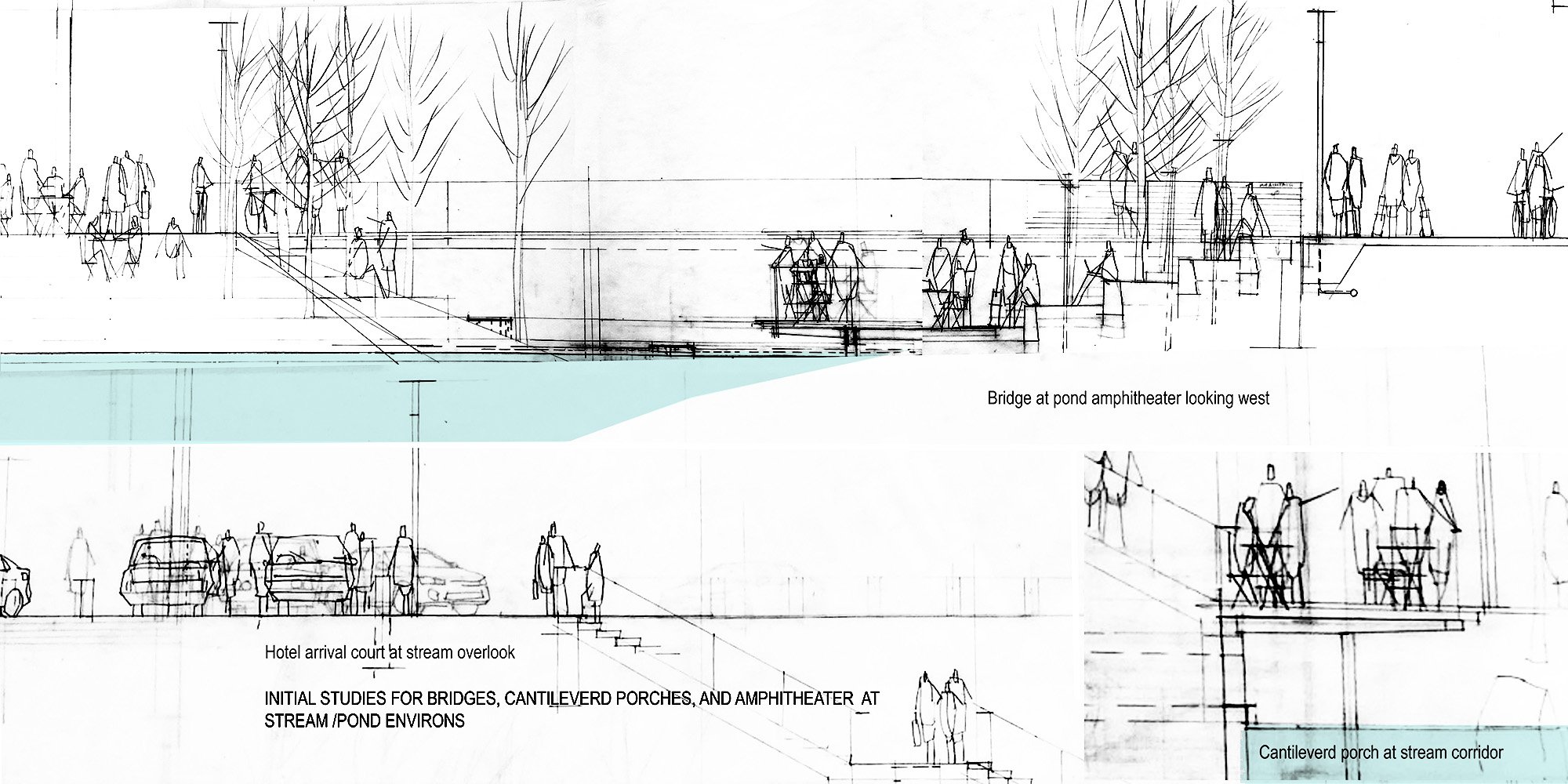 University of Virginia Ivy Corridor District Landscape — image 4 of 19