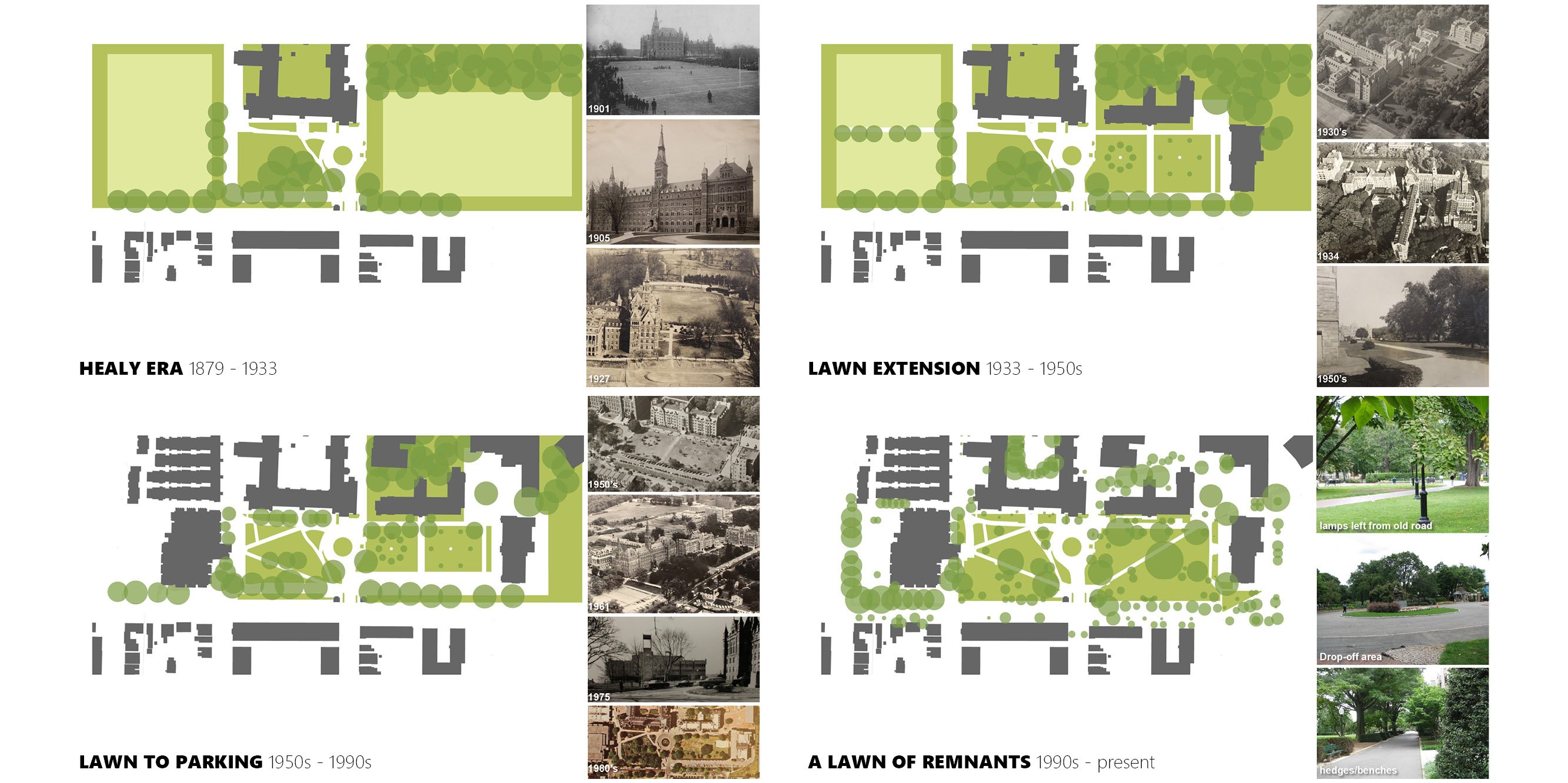 Georgetown Healy Lawn Restoration — image 2 of 18