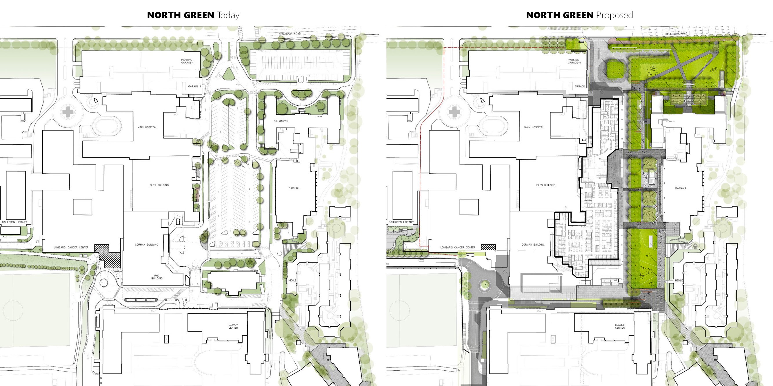 Georgetown Healy Lawn Restoration — image 5 of 18