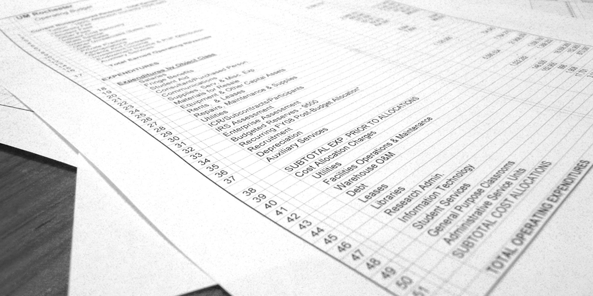 University of Minnesota Rochester Financial Plan