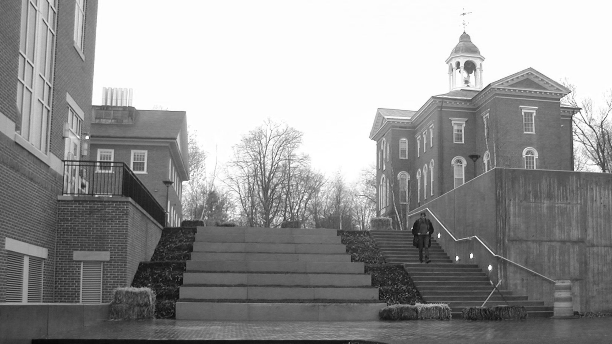 Bates College Walk — image 10 of 13
