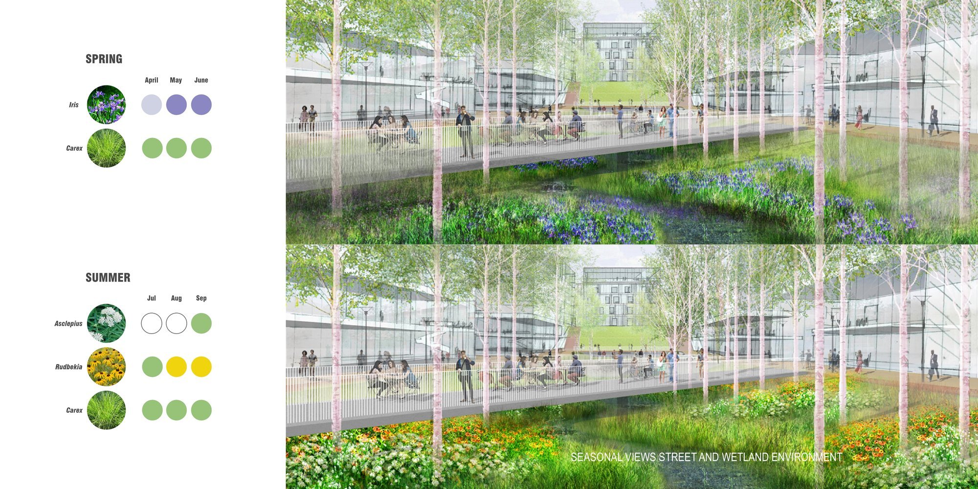 University of Virginia Ivy Corridor Strategic Framework — image 13 of 18