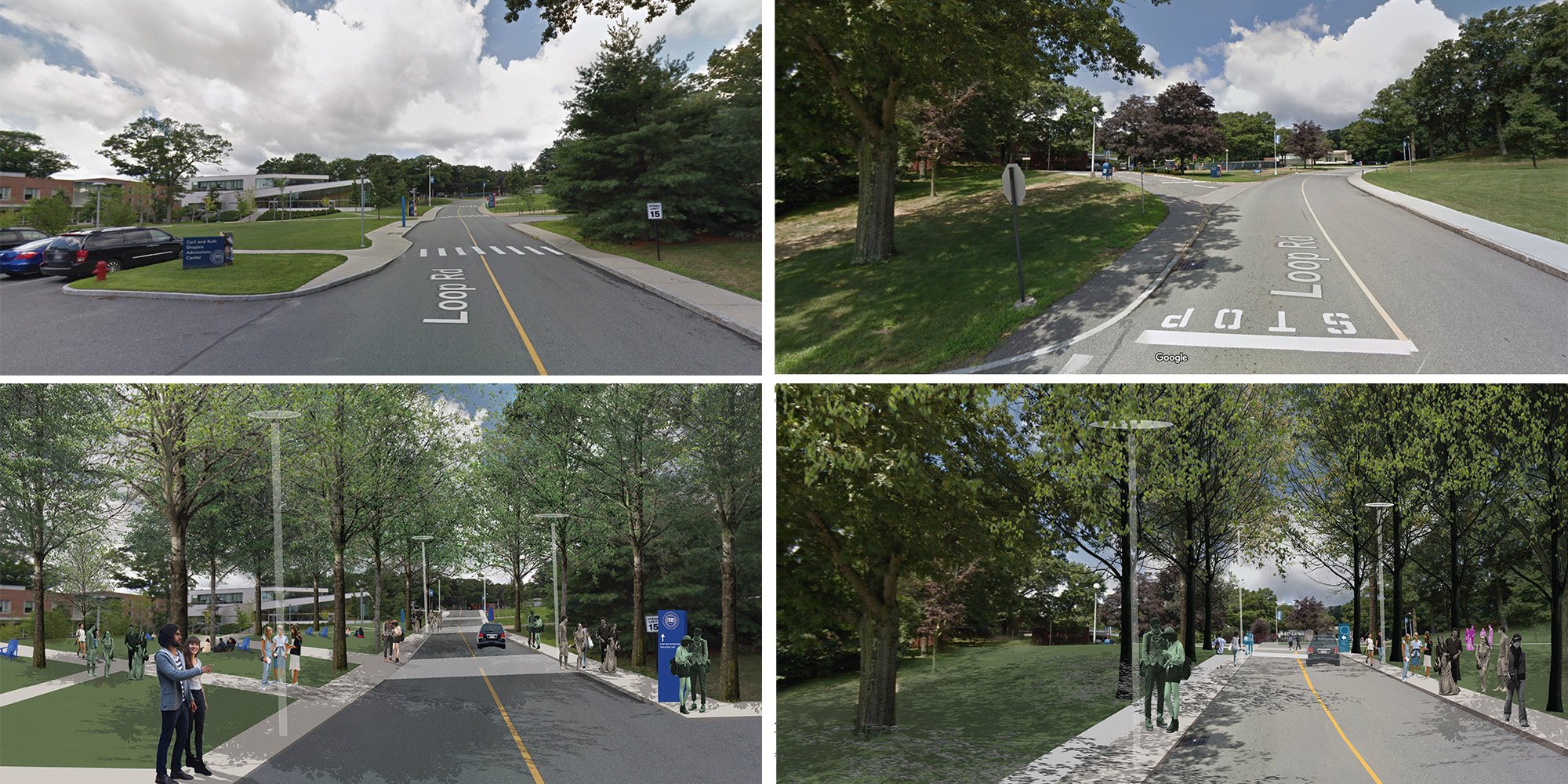 Brandeis University Campus Entry and Circulation Study — image 10 of 13