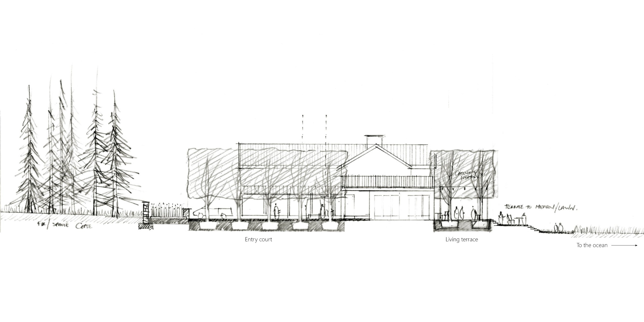 Harbor Farm Landscape Master Plan and Implementation — image 4 of 12