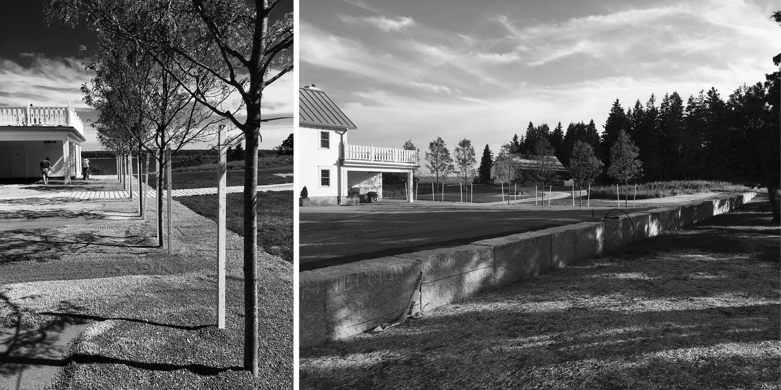 Harbor Farm Landscape Master Plan and Implementation — image 6 of 12