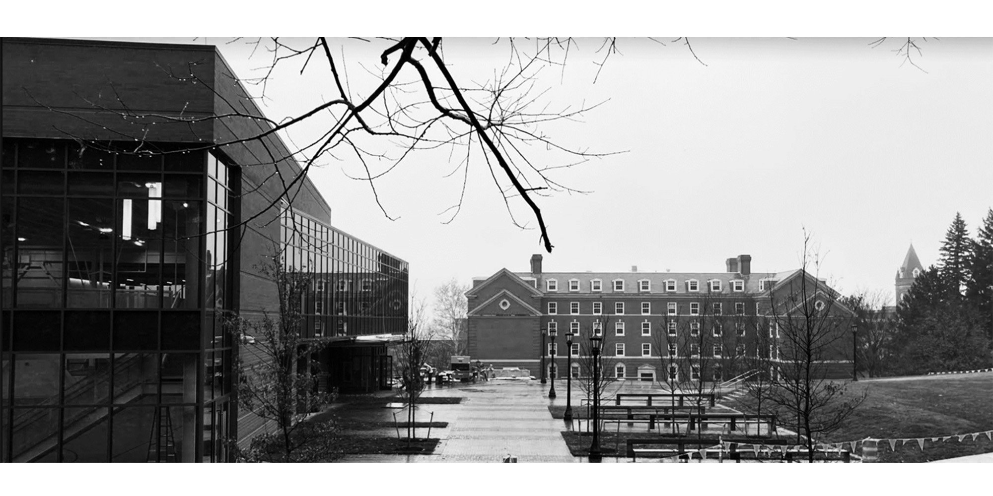 College of the Holy Cross Recreation Center Landscape — image 12 of 13