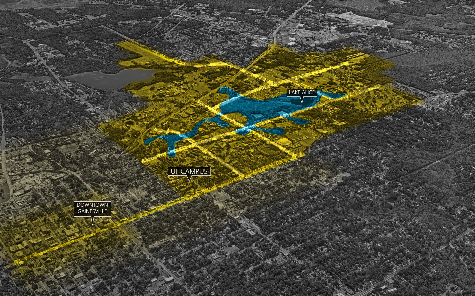 University of Florida Framework Plan