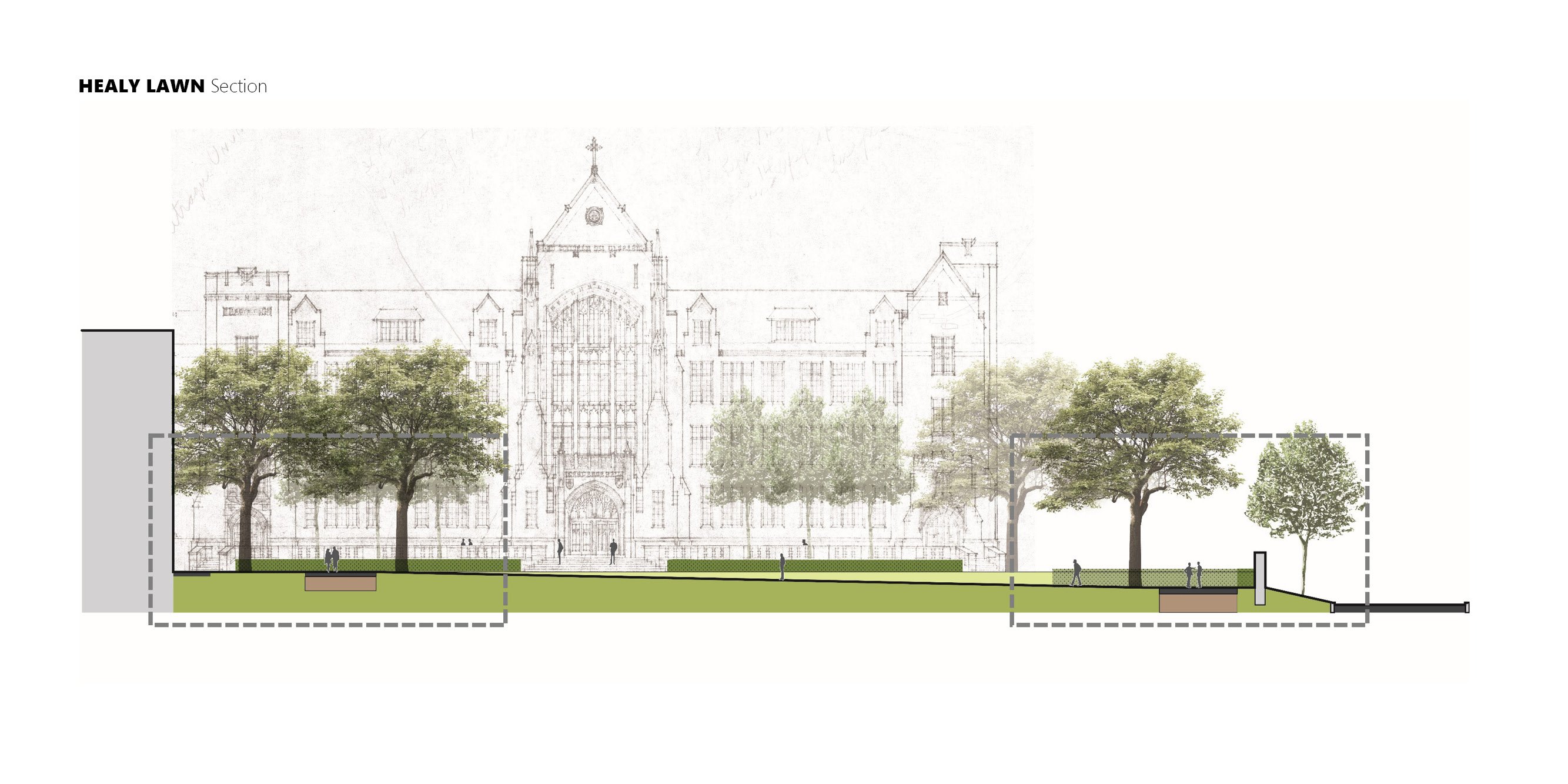 Georgetown Healy Lawn Restoration — image 4 of 18