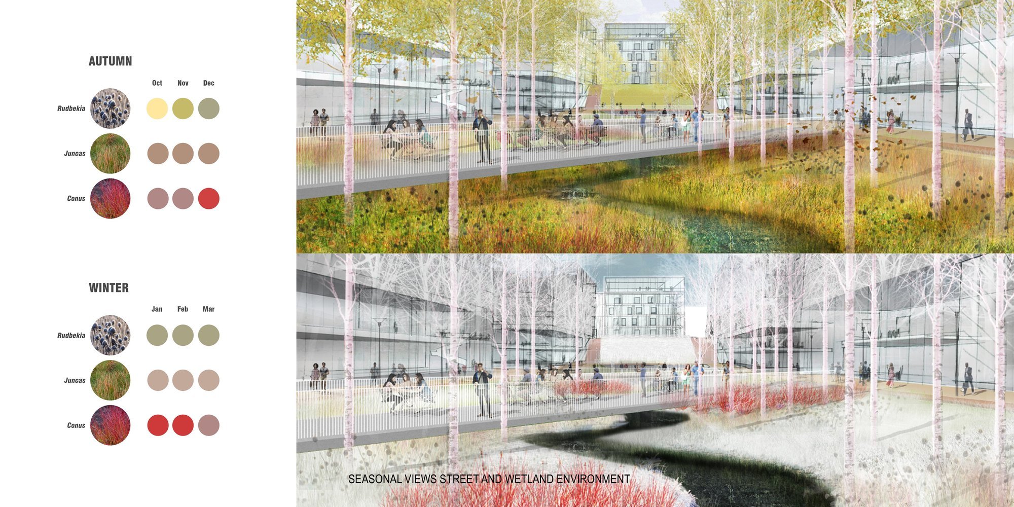 University of Virginia Ivy Corridor Strategic Framework — image 14 of 18