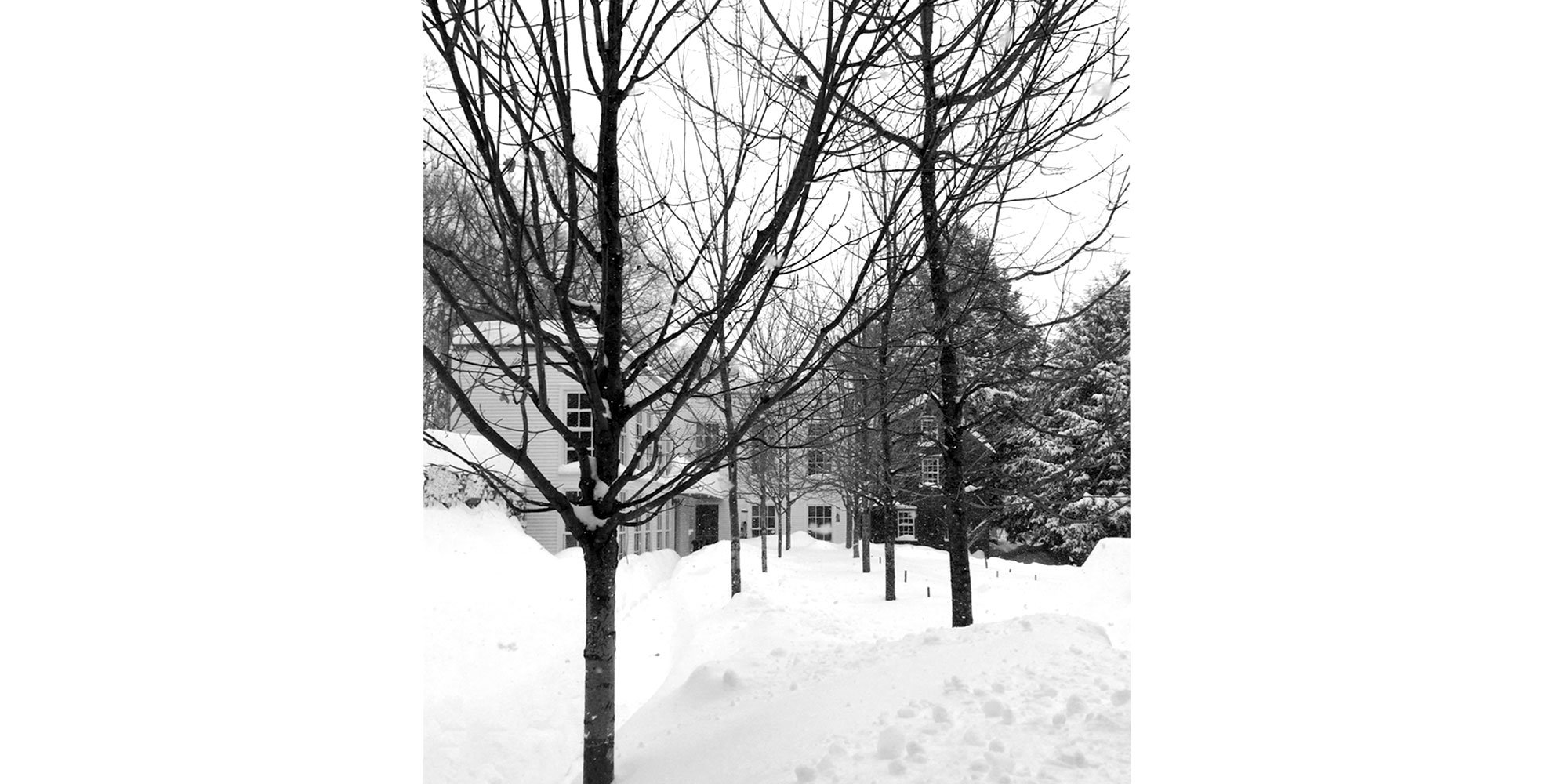 Forrester Farmhouse and Studios — image 7 of 9