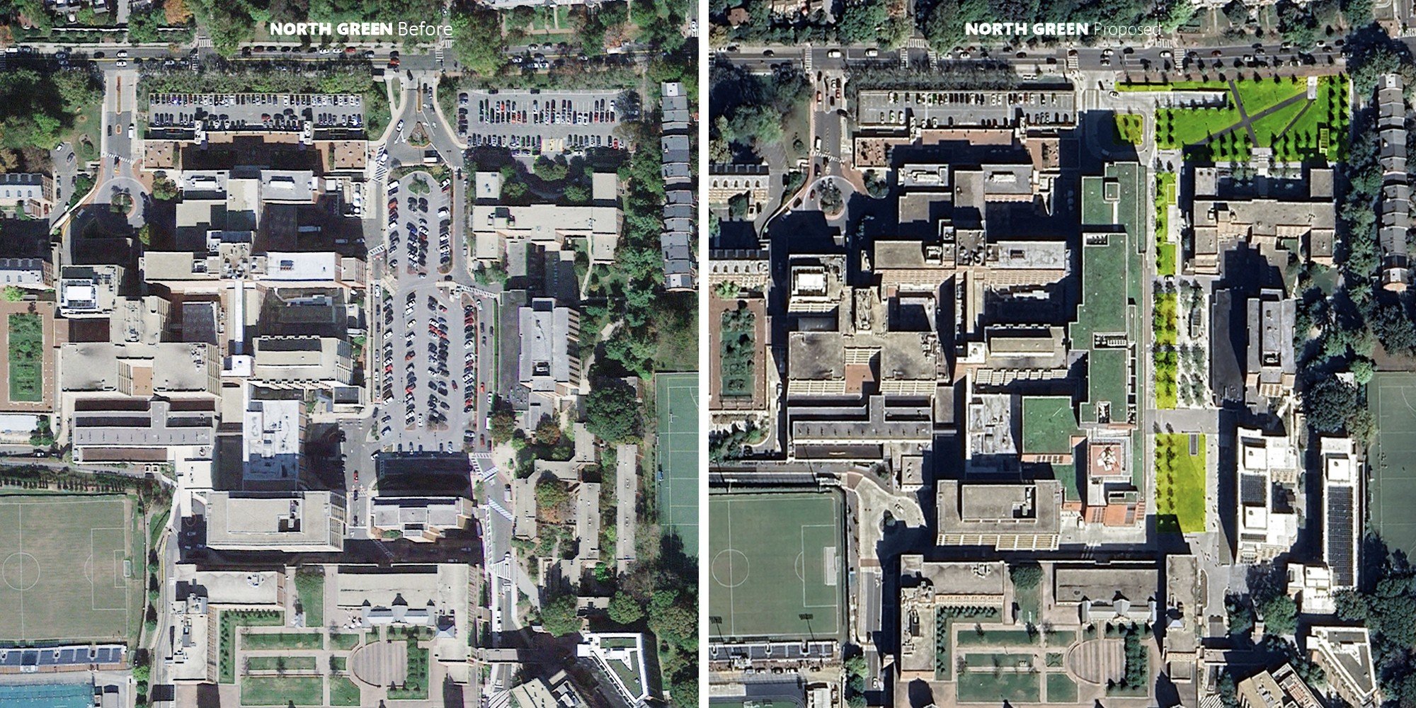 Georgetown Healy Lawn Restoration — image 6 of 18