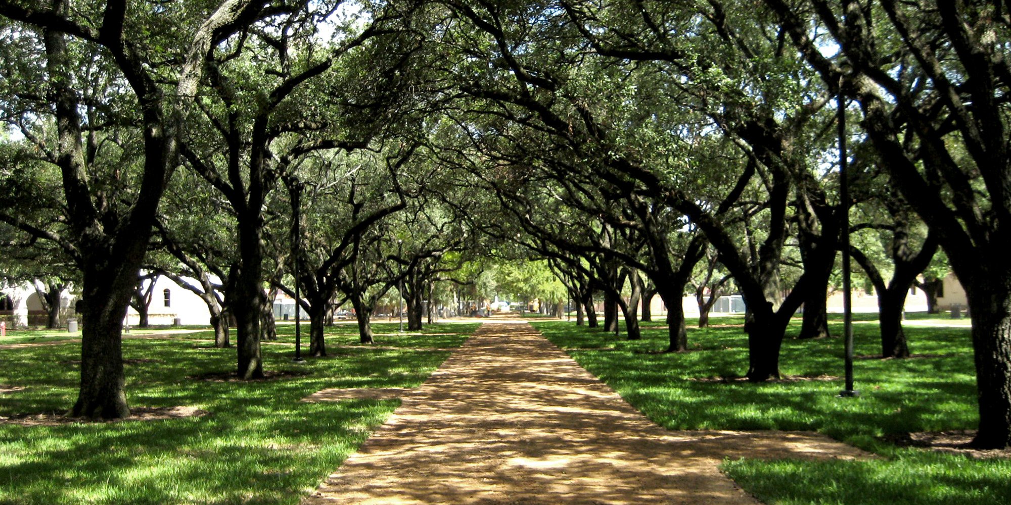 Rice University South Residential District Landscape — image 4 of 6