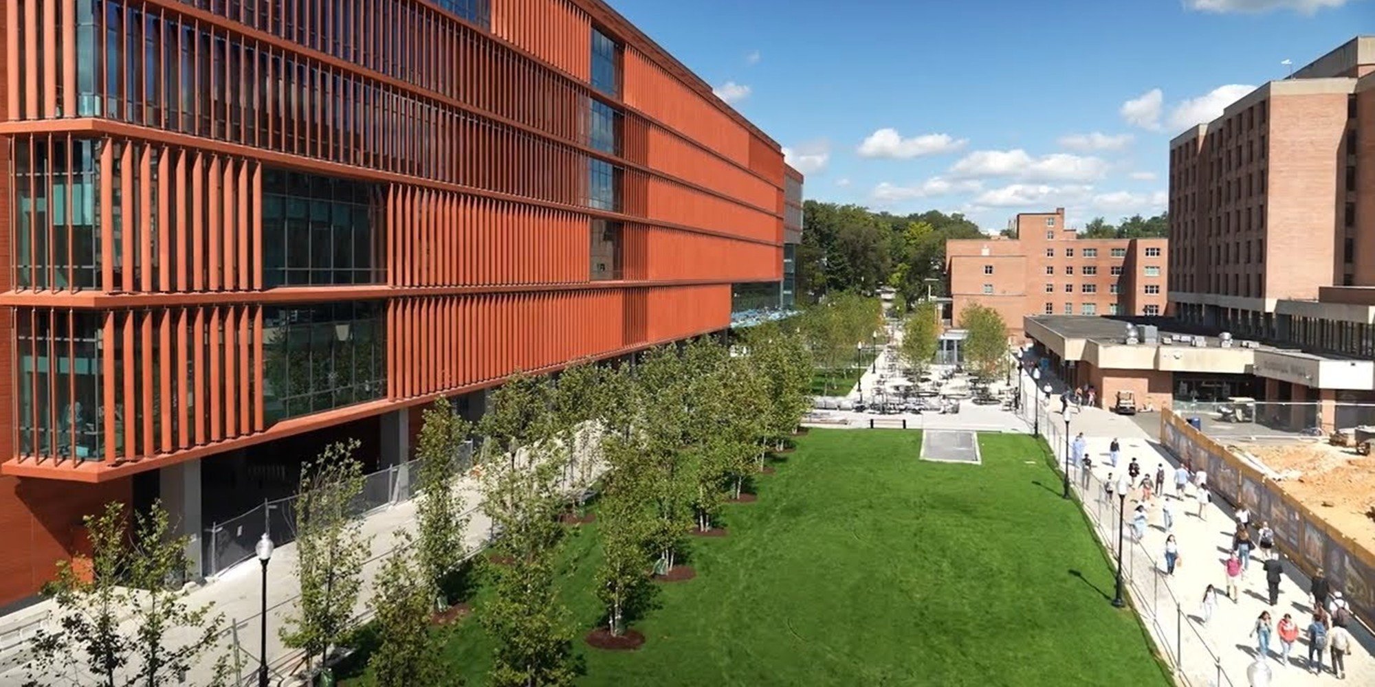Georgetown Healy Lawn Restoration — image 12 of 18