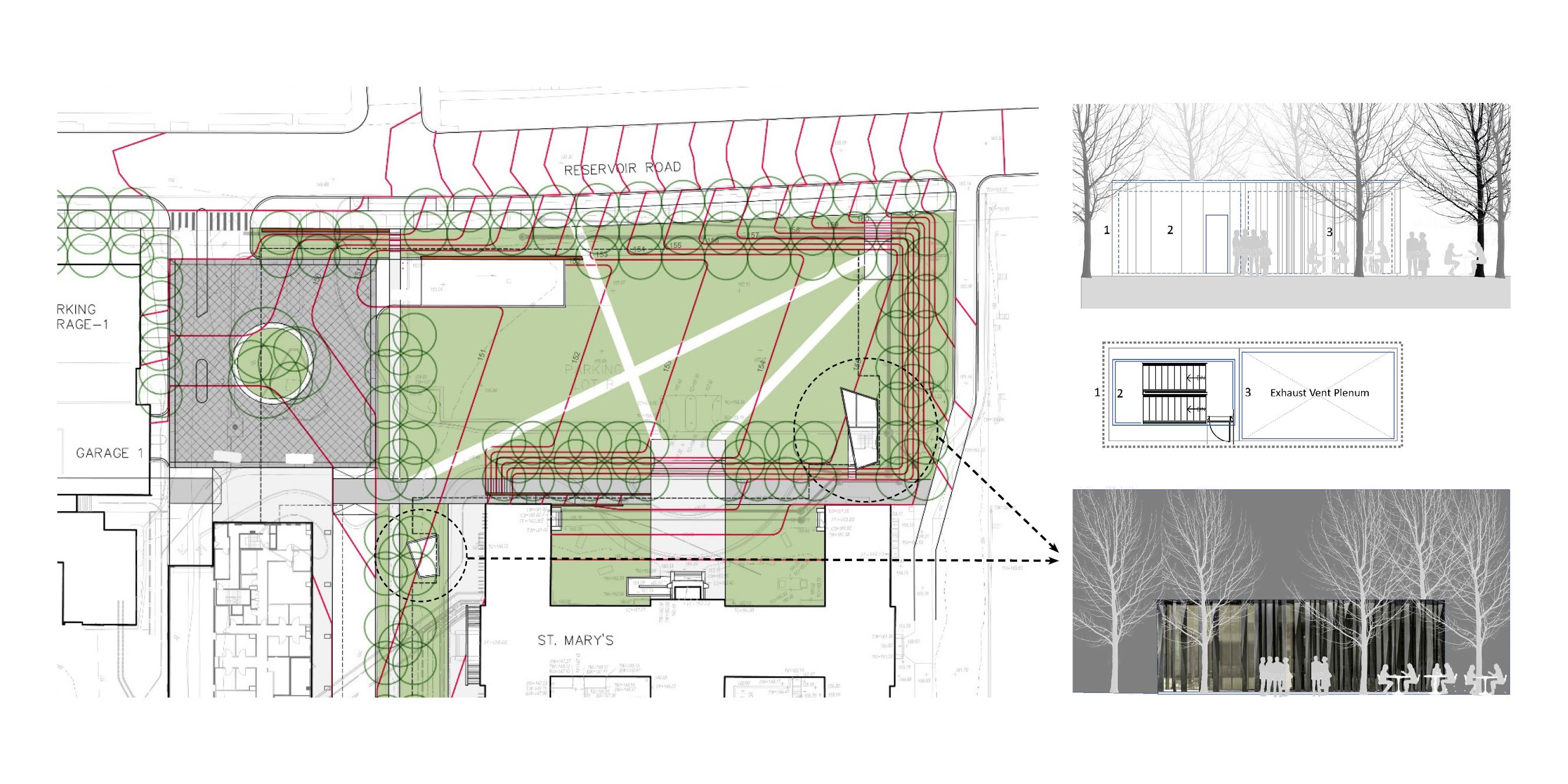 Georgetown Healy Lawn Restoration — image 10 of 18